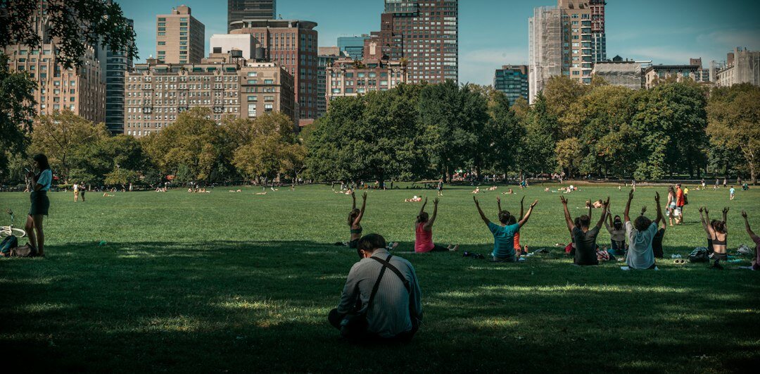 seniors doing tai chi in park