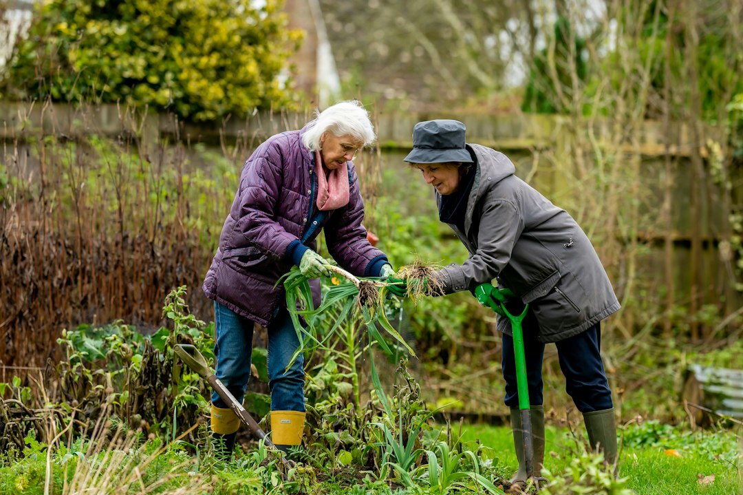 seniors gardening together